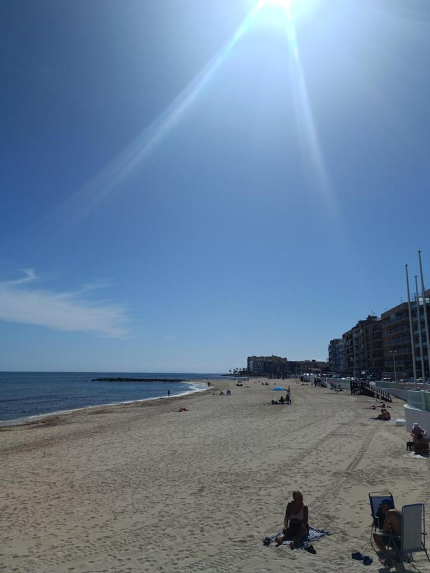 Pmt16 - Large City Apartment On The Beach Τορεβιέχα Εξωτερικό φωτογραφία