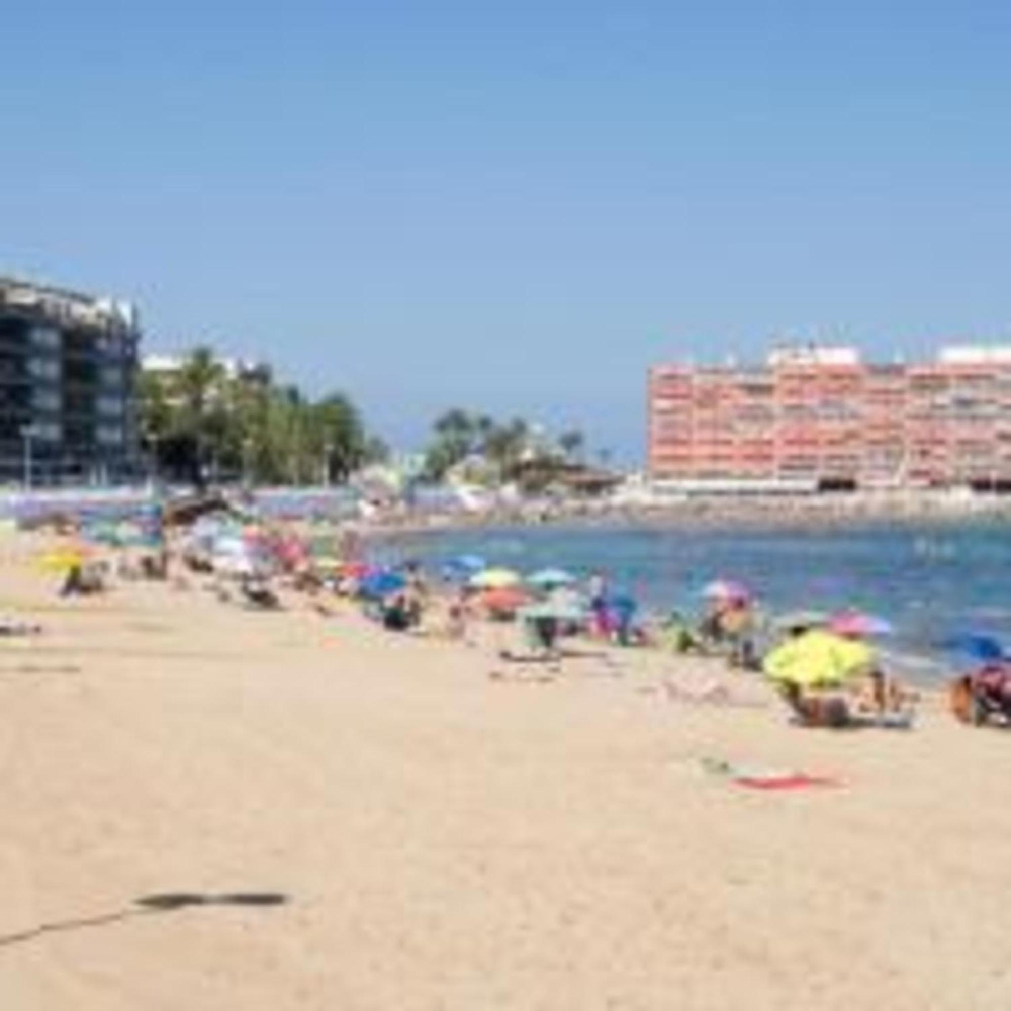 Pmt16 - Large City Apartment On The Beach Τορεβιέχα Εξωτερικό φωτογραφία